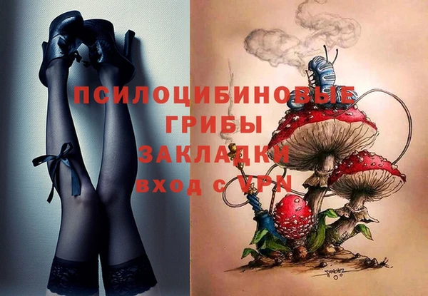 скорость Горняк