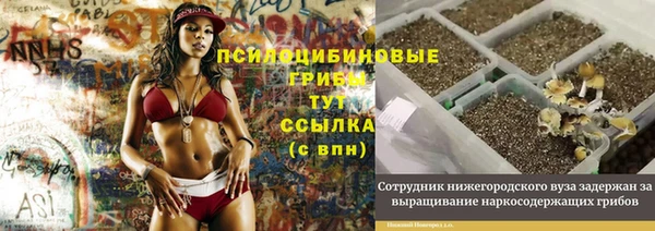 скорость Горняк