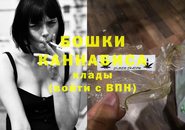 дмт Горнозаводск