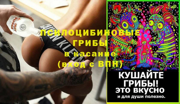 дмт Горнозаводск