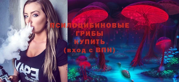 скорость Горняк