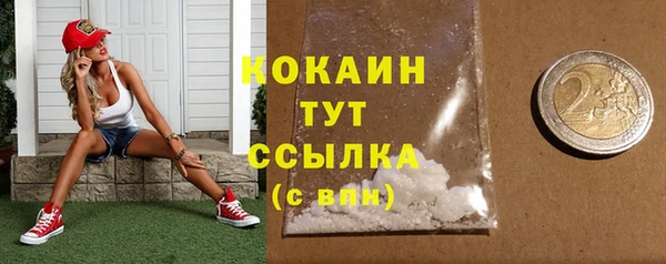 дмт Горнозаводск