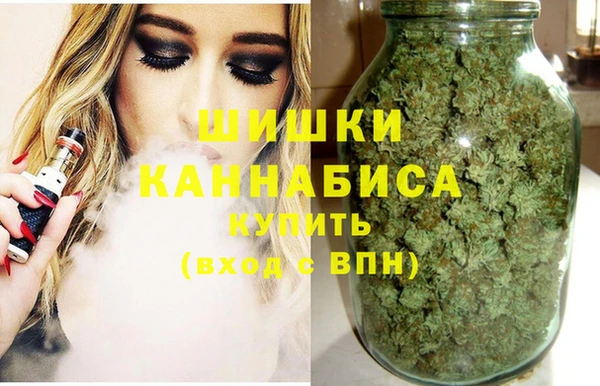 дмт Горнозаводск