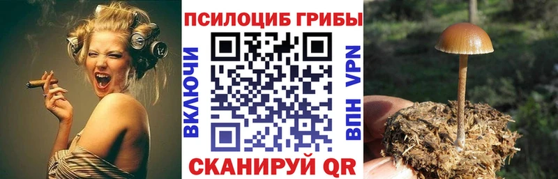Галлюциногенные грибы MAGIC MUSHROOMS  Купить  Наволоки 